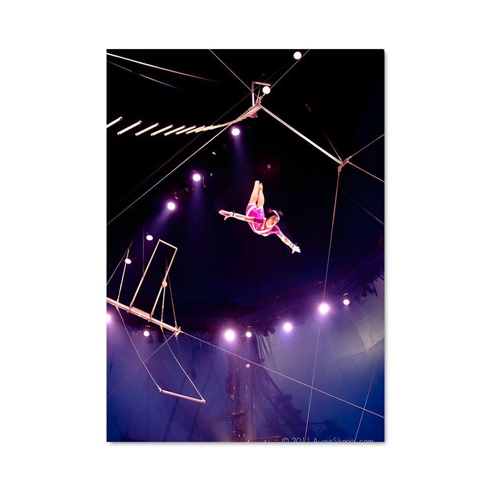Poster L'Art de l'Acrobatie